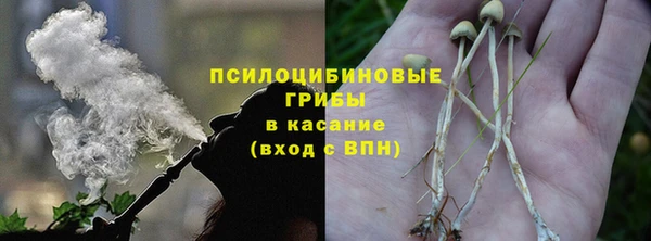 a pvp Алексин