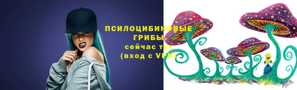 a pvp Алексин