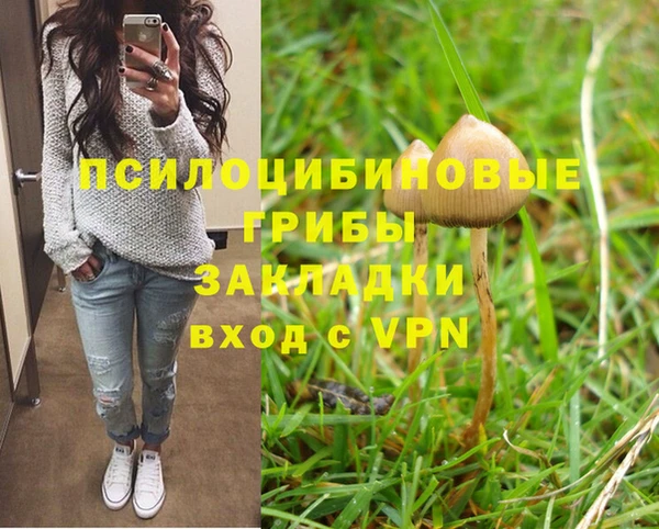 a pvp Алексеевка