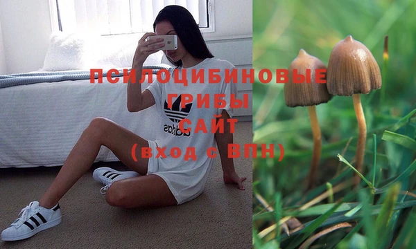 a pvp Алексеевка